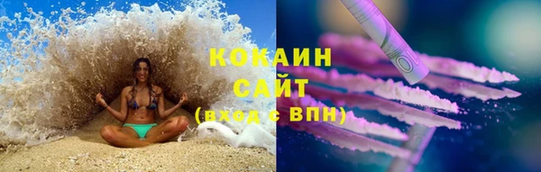 молекула духа Лабытнанги