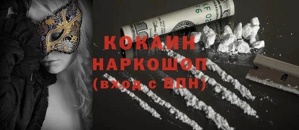 молекула духа Лабытнанги