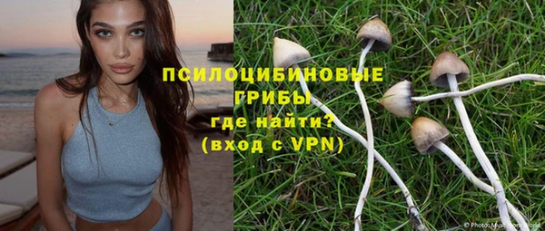 спиды Лагань