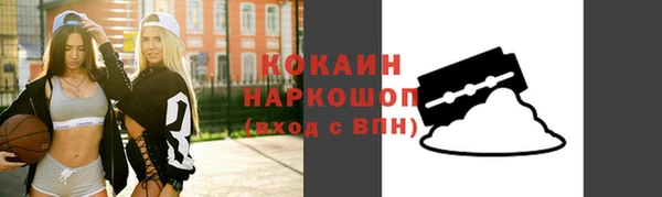 молекула духа Лабытнанги