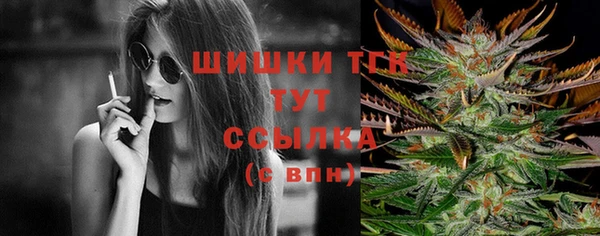 спиды Лагань