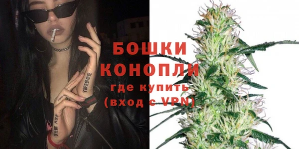 молекула духа Лабытнанги