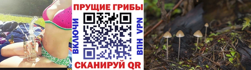 Галлюциногенные грибы мухоморы  Чердынь 